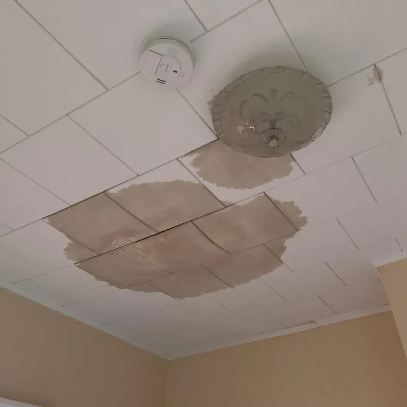 Ceiling Water Damage Repair in Addison, NY